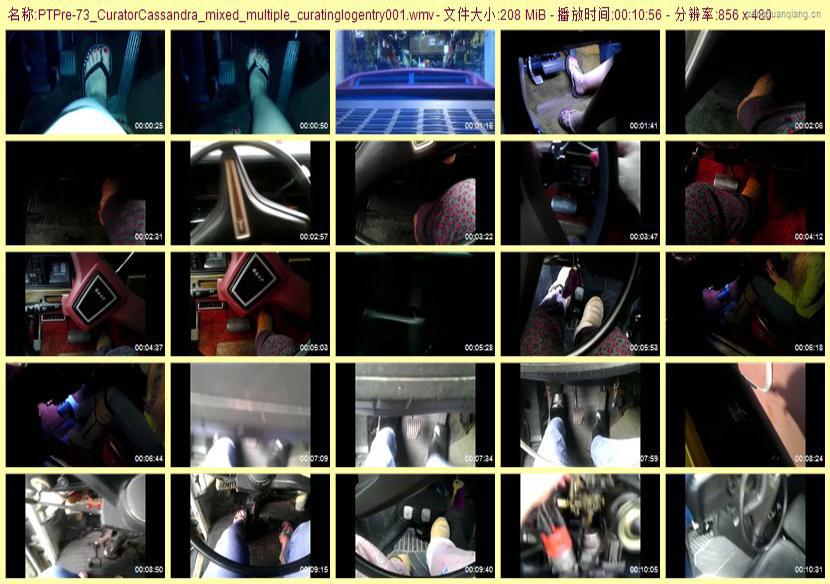 ptpre-73_CuratorCassandra_mixed_multiple_curatinglogentry001